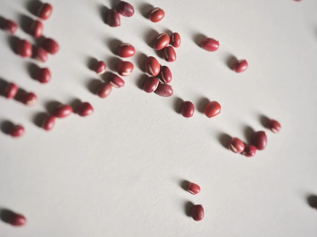 Peau fatiguée après l’été nécessitant une routine automnale